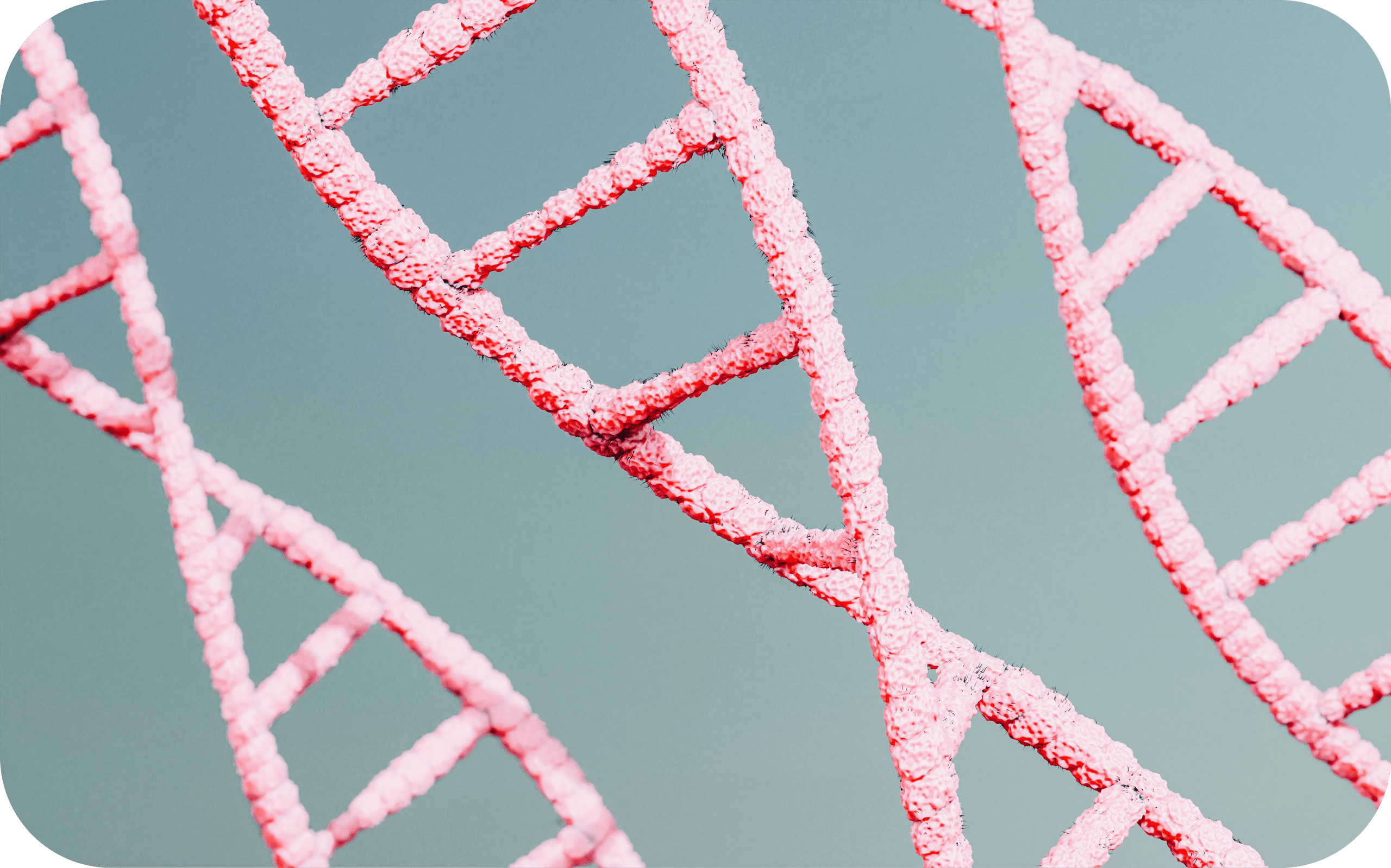 ave-calvar-tIQa0Dl8qCU-unsplash-modified (1)