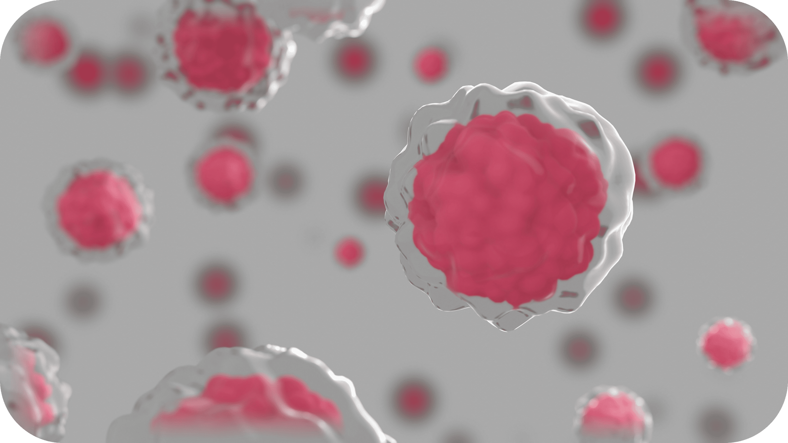 mariia-shalabaieva-9fsV7PkYJRQ-unsplash-modified (1)