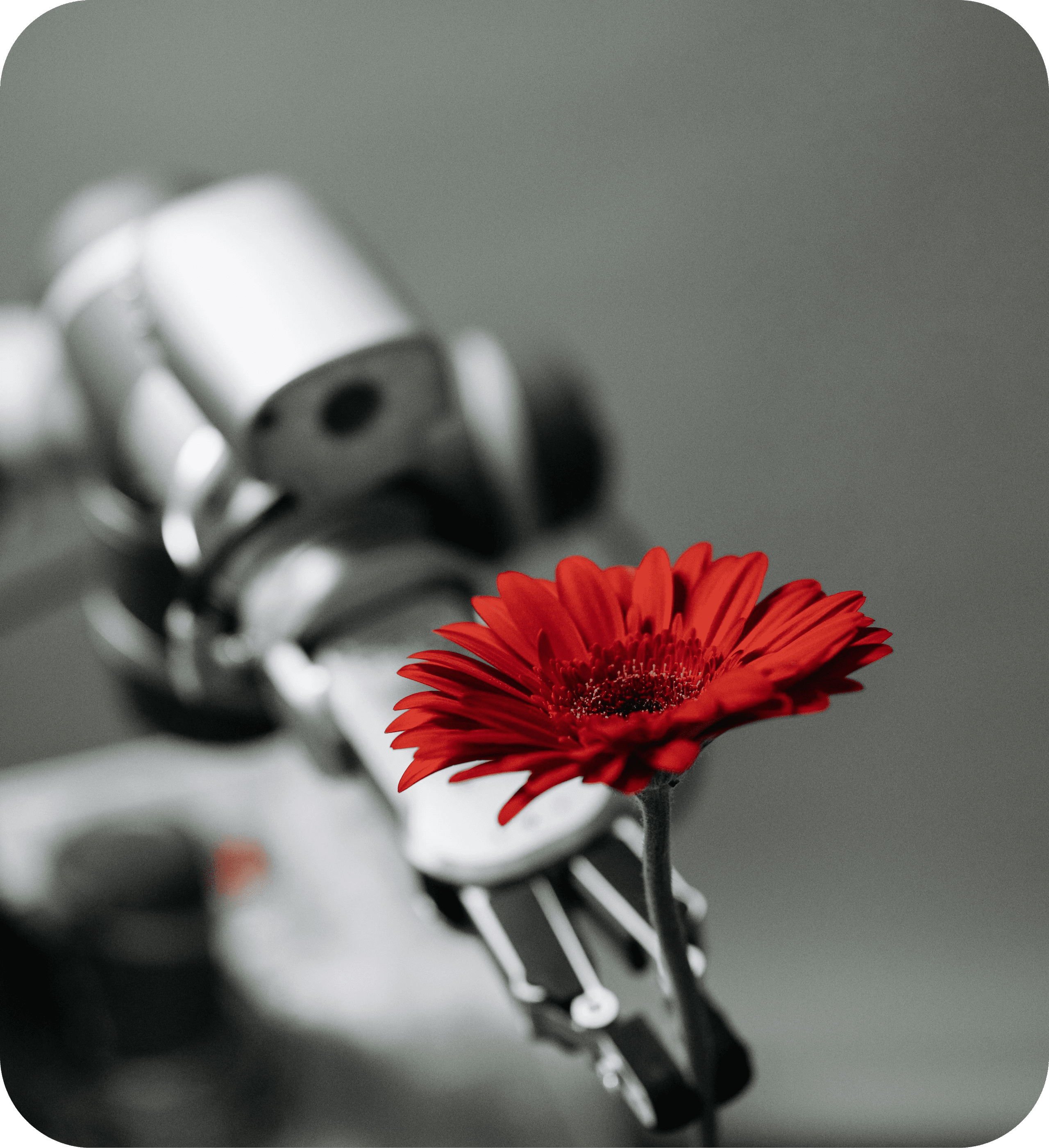 pexels-pavel-danilyuk-8438971-modified (1)