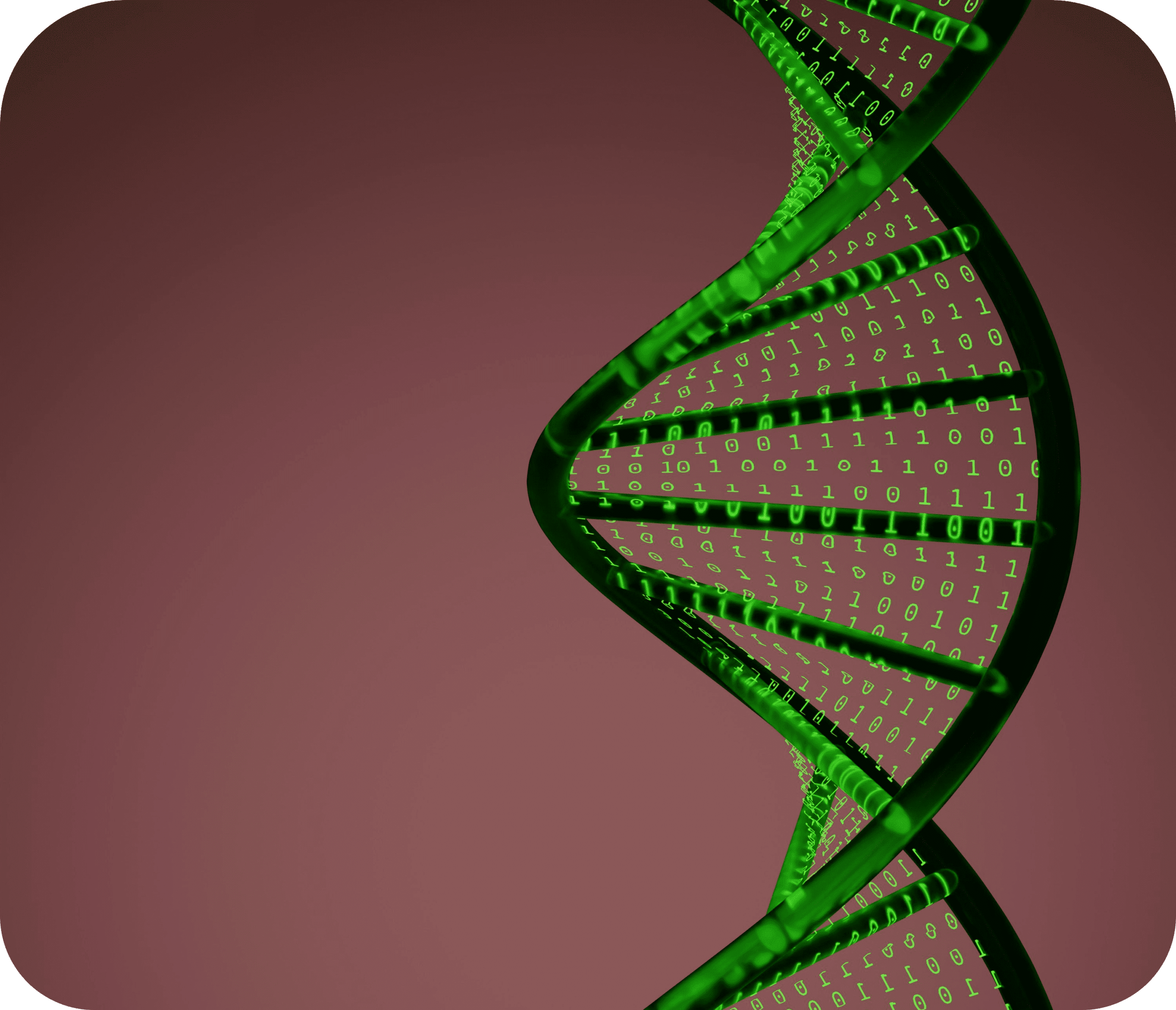 shubham-dhage-f2ZZ3KqaY0E-unsplash-modified (1)-modified